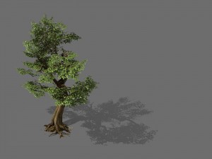 game models - forest - trees 06 3D Model
