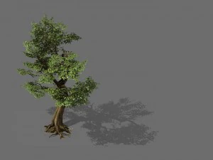Spielmodelle - Wald - B&auml;ume 06 3D Modell