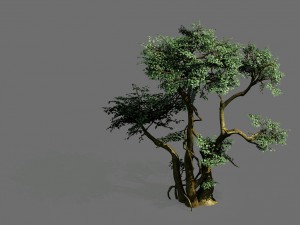 game models - forest - trees 07 3Dモデル