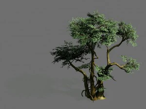 modelli di gioco - foresta - alberi 07 Modello 3D