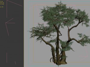 game models - forest - trees 07 3D Model