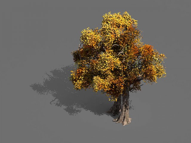 game models - forest - trees 08 3D-Modell .c4d .max .obj .3ds .fbx .stl .blend 