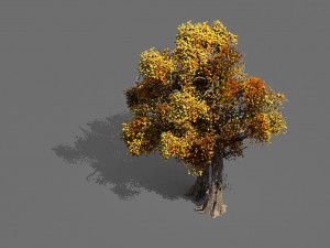 game models - forest - trees 08 3Dモデル