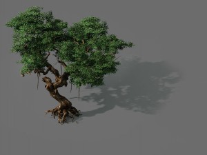 game models - forest - trees 09 3D 모델