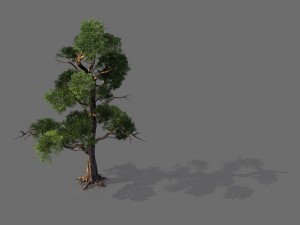 game model - forest - tree 11 3D Model