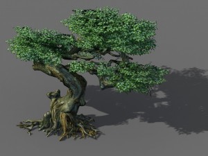 game model - forest - trees 12 3D Model