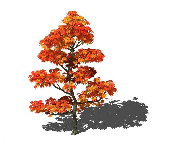 game models - forest trees - maple leaf 3D Model .c4d .max .obj .3ds .fbx .stl .blend 