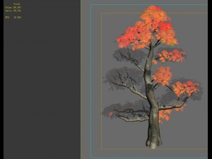 game models - forest trees - maple leaf 3D Model