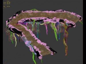 game model - forest - tree composition of mountain road Modello 3D