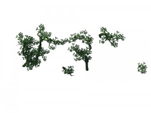game model - forest model - forest - tree - stone 3D Model