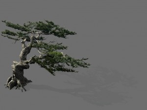 game model - forest - pine tree 01 - tree - stone 3D Model