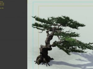 game model - forest - pine tree 01 - tree - stone 3D Model