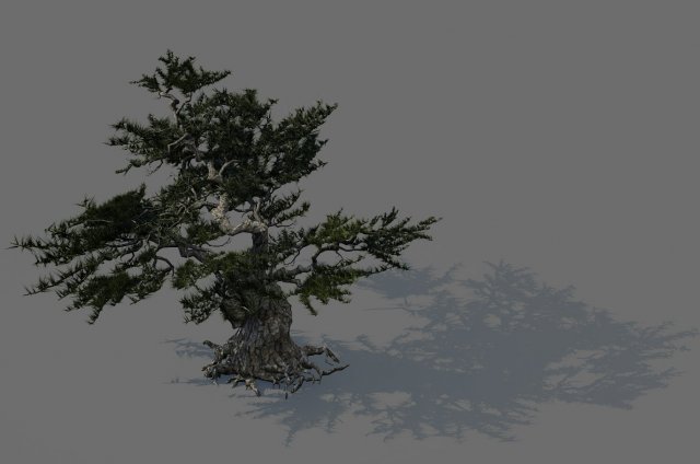 game model - forest - pines 02e 3D Model .c4d .max .obj .3ds .fbx .stl .blend 
