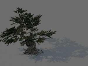 game model - forest - pines 02e 3D Model
