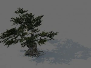 Spielmodell - Wald - Kiefern 02e 3D Modell