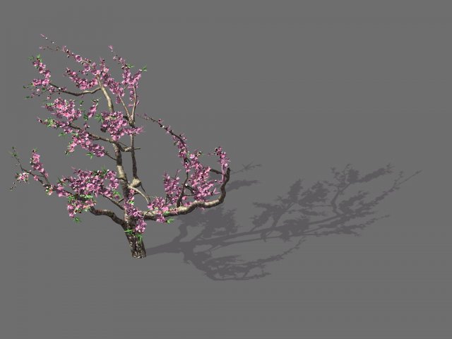 game model - forest - peach tree 01 Model 3D .c4d .max .obj .3ds .fbx .stl .blend 
