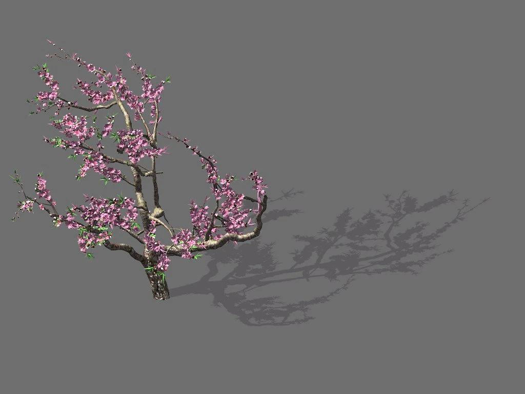game model - forest - peach tree 01 3D Model .c4d .max .obj .3ds .fbx .stl .blend 