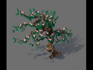 game model - forest - peach tree 02 3D Model