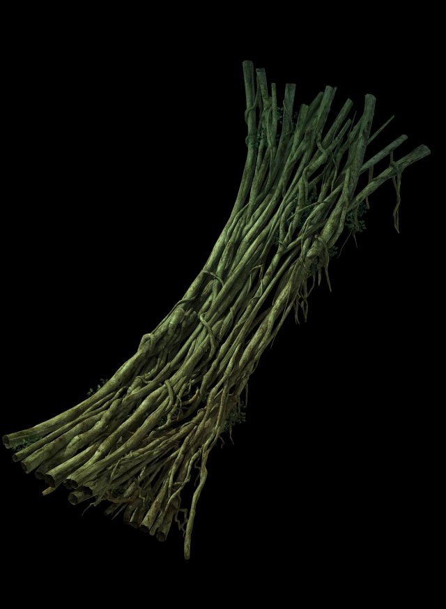game model - forest - teng bridge 05 3D Model .c4d .max .obj .3ds .fbx .stl .blend 