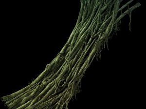 modello di gioco - foresta - ponte teng 05 Modello 3D