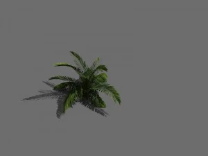 game model - forest - coconut tree 01 3D Model
