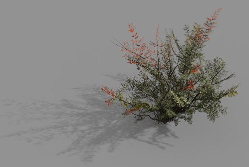 game model - forest - weed 3D Model .c4d .max .obj .3ds .fbx .stl .blend 