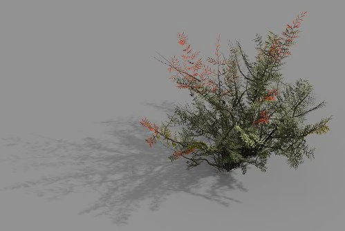 game model - forest - weed 3D Model .c4d .max .obj .3ds .fbx .stl .blend