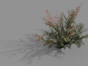 Spielmodell - Wald - Unkraut 3D Modell