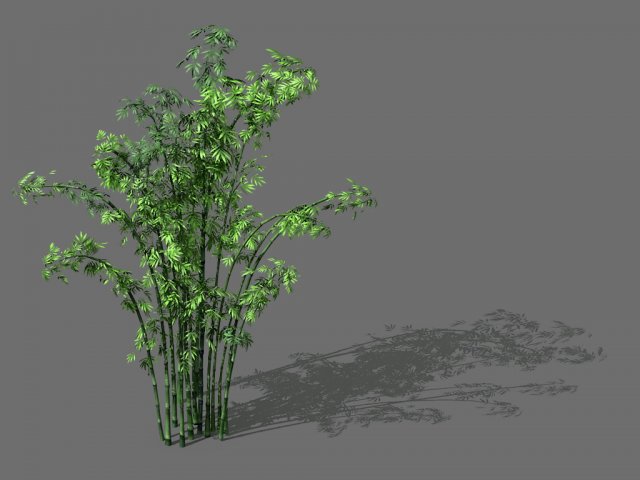 game model - forest - bamboo 3D Model .c4d .max .obj .3ds .fbx .stl .blend 