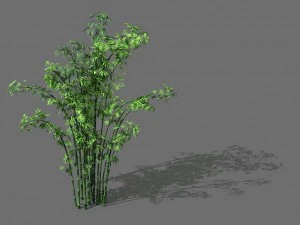 Spielmodell - Wald - Bambus 3D Modell