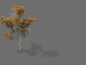 game model - desert - trees 03 3D Model