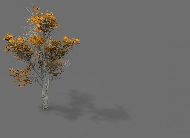 game models - desert - trees 04 Modèle 3D .c4d .max .obj .3ds .fbx .stl .blend 