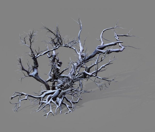 game model - snow - dead tree 01 Modèle 3D .c4d .max .obj .3ds .fbx .stl .blend 