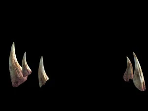 flaming cave - five teeth 3D Model