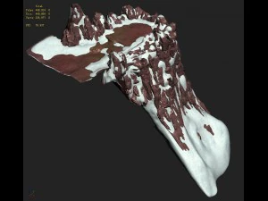 white camel mountain - cliff 3D Model