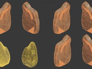 detained stone 3D Model