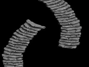 mountain - staircase 043 3D Model