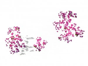 peach blossom island - surface 03 3D Model