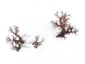 peach blossom island - surface 03 Modello 3D
