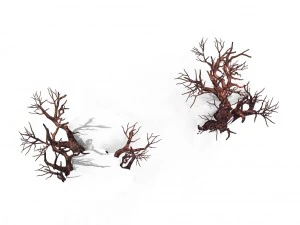 peach blossom island - surface 03 3D Model