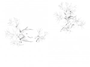 peach blossom island - surface 03 3D Model