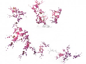 peach blossom island - seal Modello 3D