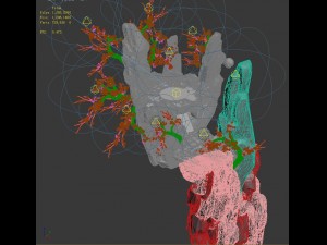 peach blossom island - seal Modello 3D