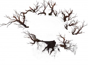 peach blossom island - nebula mirror Model 3D