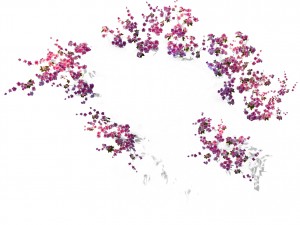 peach blossom island - nebula mirror Model 3D