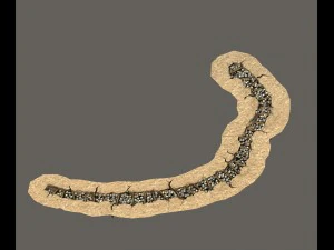 p&oacute;łokrągła nawa szkieletowa 01 Model 3D