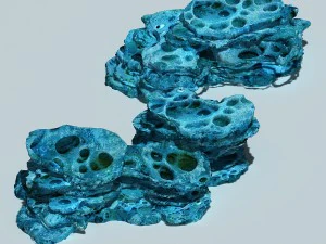 montanha haiyuan - montanha da caverna 10 Modelo 3D