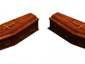 coffin 001 3D 모델