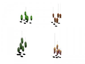 insects - pupa 3D Модель