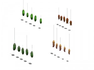 insects - pupa 3D Модель